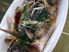清蒸鱭鱼-鹿福农庄(南沙天后宫店)
