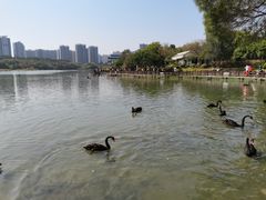 -五缘湾湿地公园