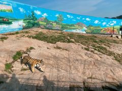 -西霞口神雕山野生动物世界