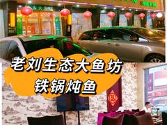 -老刘生态大鱼坊铁锅炖鱼(赛马场店)