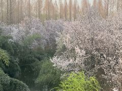 -洛阳市隋唐城遗址植物园