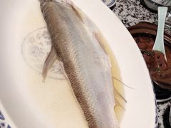 太湖白鱼-南京大牌档(凯德大峡谷店)