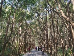 -同里国家湿地公园