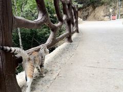 -终南山南五台景区