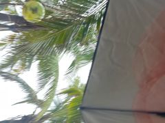 -考记泥焗鸡农庄·海鲜(北洛秘境店)