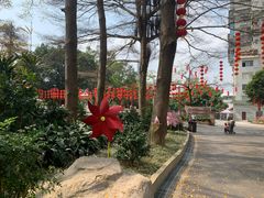 -晓港公园
