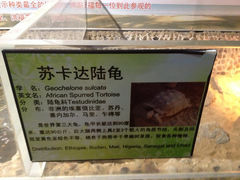 8.5-上海大自然野生昆虫馆