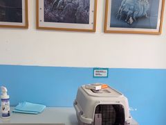 -瑞派福兴宠物医院犬猫全科·骨科·中西医结合(河东店)