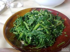 野菜-北京水岸山吧度假村(雁栖镇店)