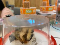 -元气寿司(金光华店)