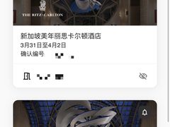 -新加坡丽思卡尔顿美年酒店