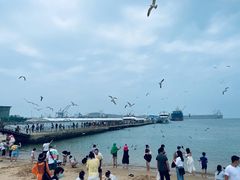 -海驴岛(荣成市)