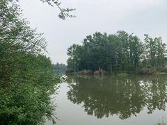 -桤木河湿地公园