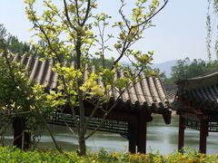 -北坞公园
