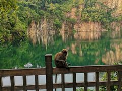 -武吉知马自然保护区