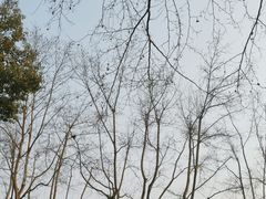 -北山街历史文化街区