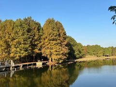 -昆山城市生态森林公园