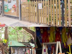 -柴犬高等学院·狗咖·柴犬售卖·宠物训练