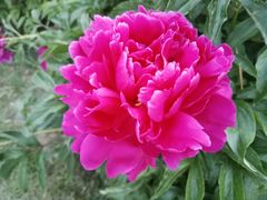 -长春公园(普阳街道)