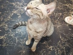 -鱼乐岛餐厅·户外花园主题餐厅