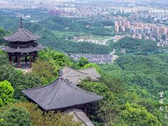 -杭州半山国家森林公园