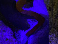 -寻龙山风景旅游区