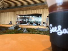 -Seesaw Coffee(朝阳大悦城店)