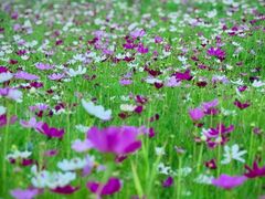 -北沙滩(地铁站)