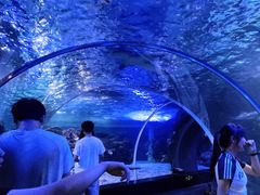 -江和美海洋公园