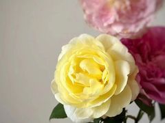 -星巴克(来福士2F店)