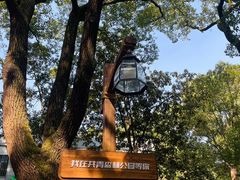 -上海共青森林公园