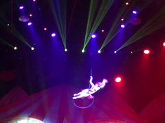 -珠海横琴长隆《卡卡虎奇遇记》