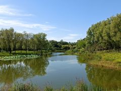 -东郊湿地公园