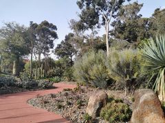 -墨尔本皇家植物园