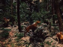 -浙江自然博物院(杭州馆)