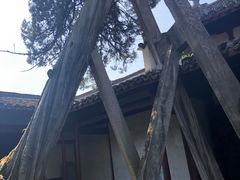 -太平天国侍王府