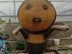 -庞各庄翠芳园西瓜蔬菜基地采摘园