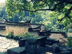 -杨家堂村