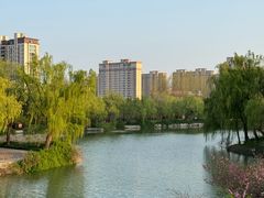 -禹州森林植物园