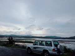 -涉地可支