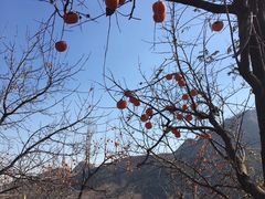 -狼牙山风景区