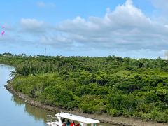-东寨港红树林旅游区