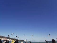 -幸福门