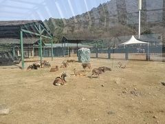 -无锡动物园·太湖欢乐园