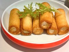 -鸽小宝(深圳首店)