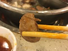 -朱氏胖子烂火锅(洪崖洞店)