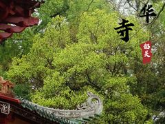 -南华禅寺