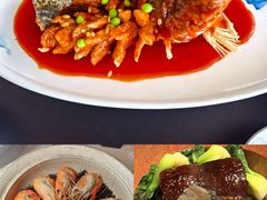-RIVIERA 松鹤楼(外滩店)