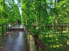 -黄海国家森林公园