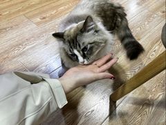 -白兔子密室(长寿路店)